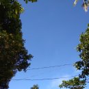 •blue sky|zigzag wires|weird camera angle• 이미지