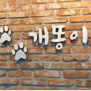 개똥이 애견샵 | 창원 남양동 애견샵, 펫샵 개똥이 애견미용샵 분양추천! 믿을 수 있는 업체소개