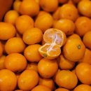 온주농장 이미지