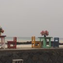 한잔하세화