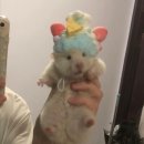 주식회사 엠스포 | 공포처돌이의 전국 방탈출 공포 테마 간략 후기 모음! 공테 빅데이터용입니다(대구, 서울, 인천, 안산...