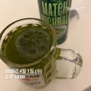 (주)세상담기 | 4월 일상 1탄 : 눈에 한가득 벚꽃 담기🌸