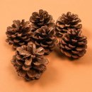 예림화방 이미지