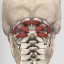 연수동산로3길 이미지