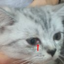 범 동물병원 이미지