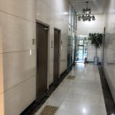 파스쿠찌춘천거두점