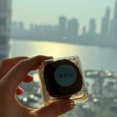 7393 | 롯데백화점 두쫀쿠 과연 그 맛은신중동 안스 베이커리 두쫀볼 솔직후기