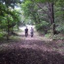 평산RT Daum카페
