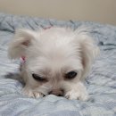 가정식백반 이미지