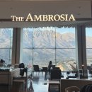 호텔 펠리체 | 강원도 고성 소노펠리체 델피노 , 울산바위뷰 배정 및 대가족 호텔 후기