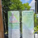 하얀울공원 | 전남 화순 철쭉 공원 수만리 생태숲공원 두 번째 방문 후기입니다.