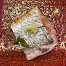 GS25사하당리점 | 하단 당리 이자카야 오마카세 못지않은 스시 맛집 효탄