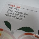 양지청과 이미지