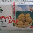 닭키우는 회장님 이미지