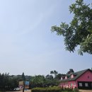 대가농협 별고을휴게소 | 아이와가기좋은 안성팜랜드 깜찍 동물 가득