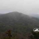 형제농장B 이미지