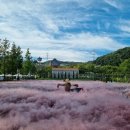 자작나무길펜션 이미지