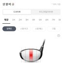 제우스 스크린 골프 이미지