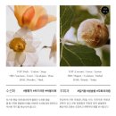 4공단로1L-20 | 헤트라스 호텔 테라피 대용량 바디워시 선인장 1L