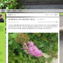 제3회 청솔사진동호회 사진전 | 사정요지 - 조선식물향명집 이야기(2)