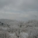 제145차 정기산행 강릉 선자령(1157m) 이미지