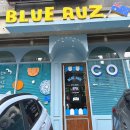 오즈카페 | 호주식 브런치 카페 ‘블루오즈’ 광교 맛집 다녀온 생생후기