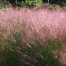 가야농장 이미지