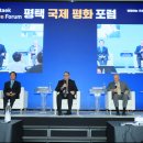 평택시 ‘2025 평택 국제 평화 포럼’ 성황 이미지