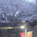 돼지마을(아리랑바베큐)