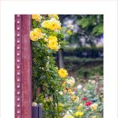 성산공원 이미지