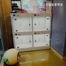 압구정웰동물병원 | 강남동물병원 압구정웰동물병원 신뢰할 수 있는 동물병원