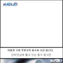 동수