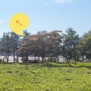 덕흥주유소 | 전남 고흥 나로우주캠핑장 (구.동포갯벌체험장) 후기요~