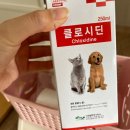 이화팜텍 주식회사 | 강아지 클로시딘 후기 반려동물 소독약 추천 링웜 턱드름
