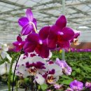 해피레져산업 이미지