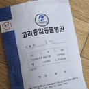 고려종합동물병원 | 햄스터 키우지 마십쇼... 대치 도곡 한티 햄스터 진료 특수동물 전문 고려종합동물병원