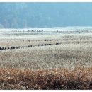 산업농장 이미지