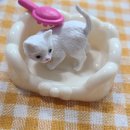 미니스토어 이미지