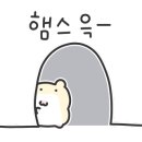 카페카일리