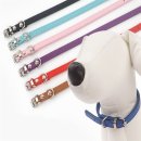 애완상회 이미지