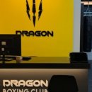 드래곤 복싱클럽 이미지