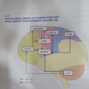 도대상회 | 포항 심리상담 9세 남자아이 감정조절 후기