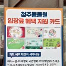 이호동물병원 | 청주 4월 아이랑 가볼만한 곳 청주동물원