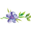 더조은정비 이미지