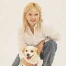 정연