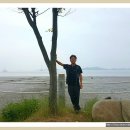 한가라지 이미지