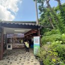 2024 광주 어린이 상상극장 <에코백> | 광주 쭈꾸미 맛집, 늘찬애 쭈꾸미&amp;낙지&amp;채반보쌈 본점 방문후기, 가족외식하기 좋은 광주 신현동 맛집 추천