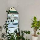 그린쥬르