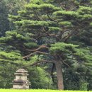 평창 수항리사지 이미지