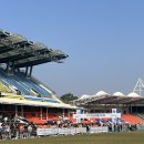 2025년 성남 런 페스티벌 | 2025 성남 런 페스티벌 5km 후기